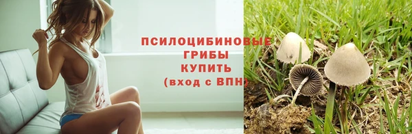 спайс Киреевск