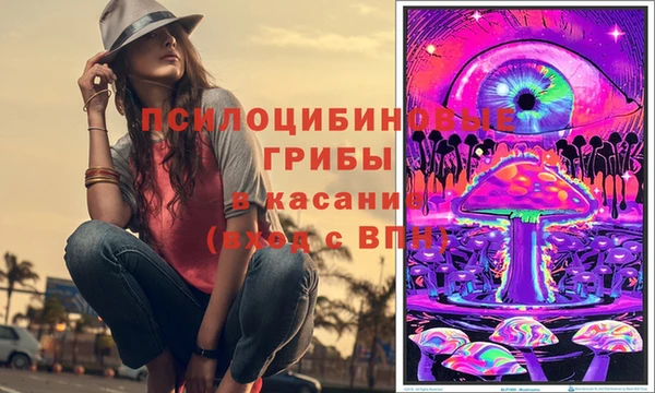 герыч Кинешма